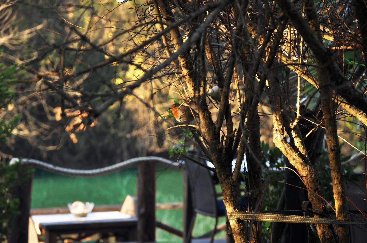 Lethe Exclusive Hotel (Adults Only) Ağva Exteriör bild